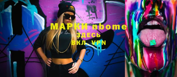 шишки Снежногорск