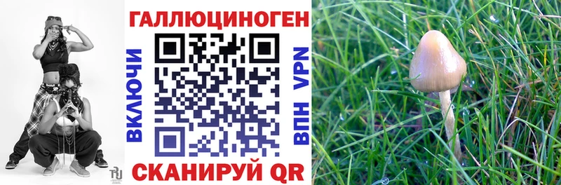 Псилоцибиновые грибы Psilocybine cubensis  Электрогорск 